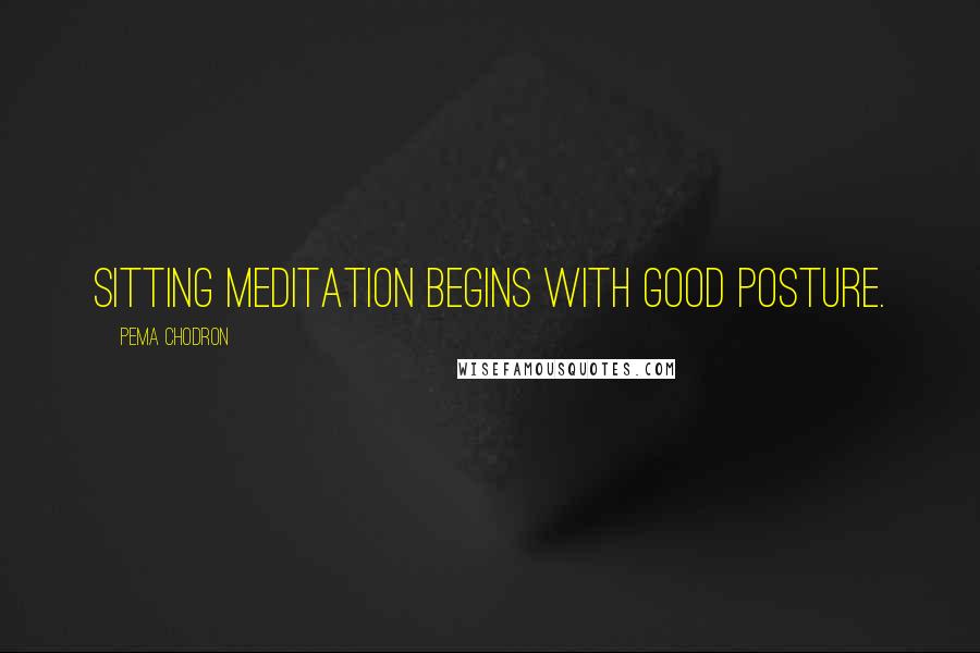 Pema Chodron Quotes: Sitting meditation begins with good posture.