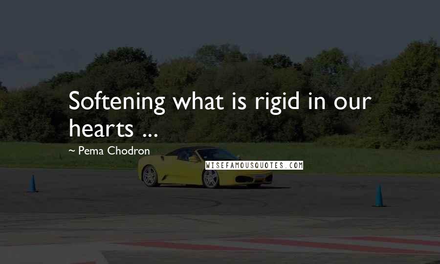 Pema Chodron Quotes: Softening what is rigid in our hearts ...