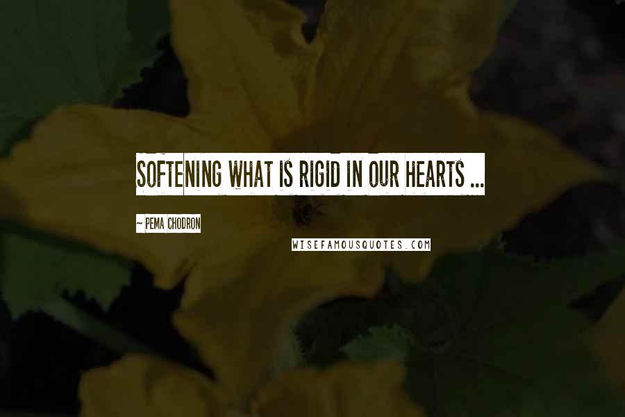 Pema Chodron Quotes: Softening what is rigid in our hearts ...