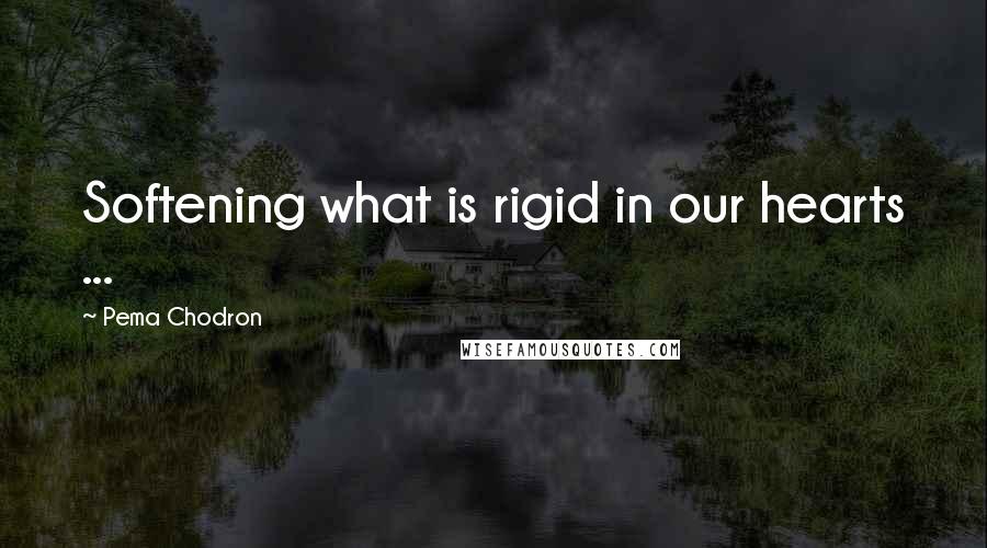 Pema Chodron Quotes: Softening what is rigid in our hearts ...