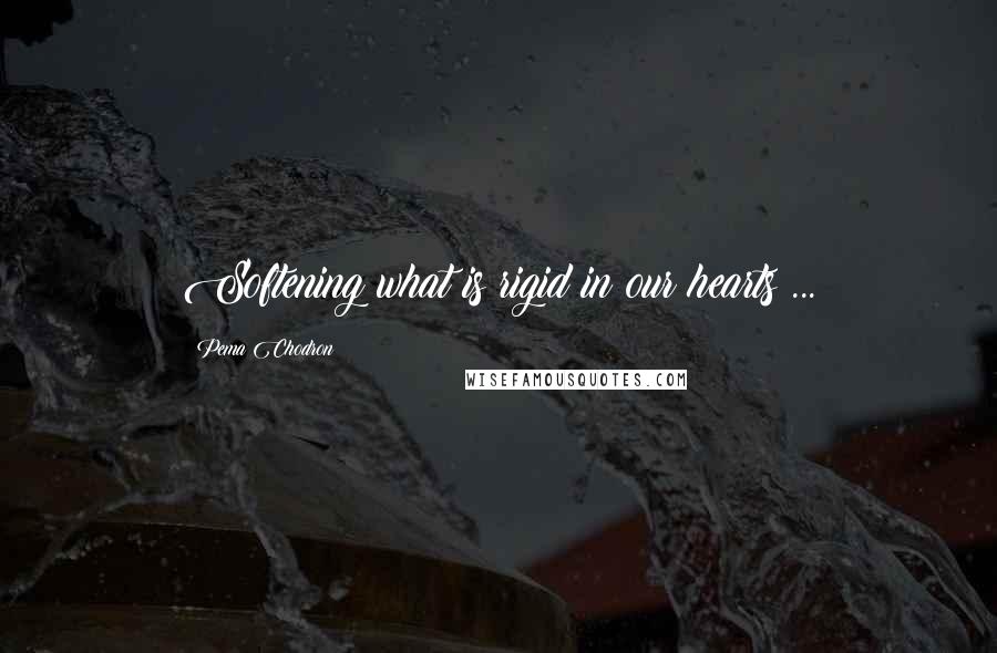 Pema Chodron Quotes: Softening what is rigid in our hearts ...
