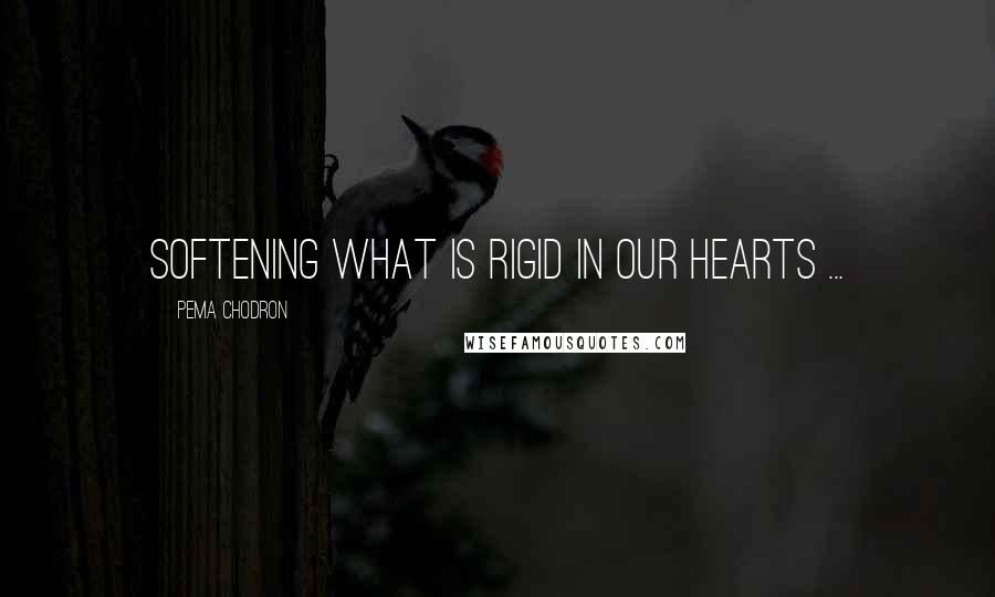 Pema Chodron Quotes: Softening what is rigid in our hearts ...