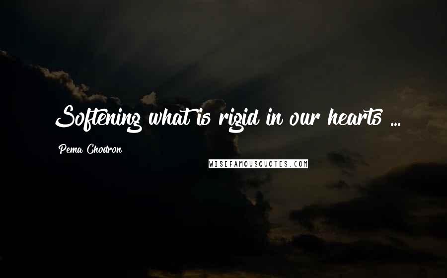 Pema Chodron Quotes: Softening what is rigid in our hearts ...