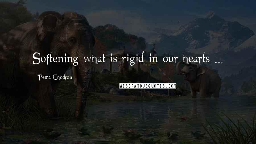 Pema Chodron Quotes: Softening what is rigid in our hearts ...