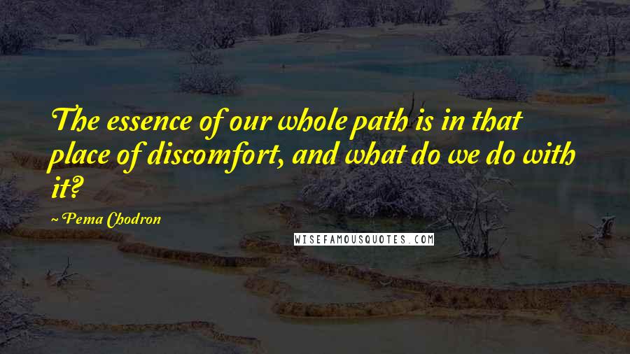 Pema Chodron Quotes: The essence of our whole path is in that place of discomfort, and what do we do with it?