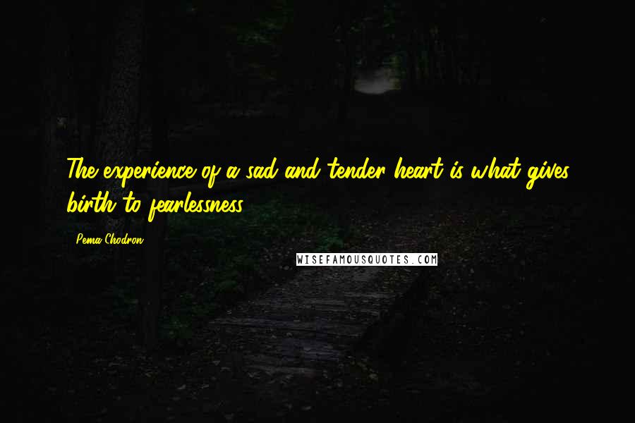 Pema Chodron Quotes: The experience of a sad and tender heart is what gives birth to fearlessness.