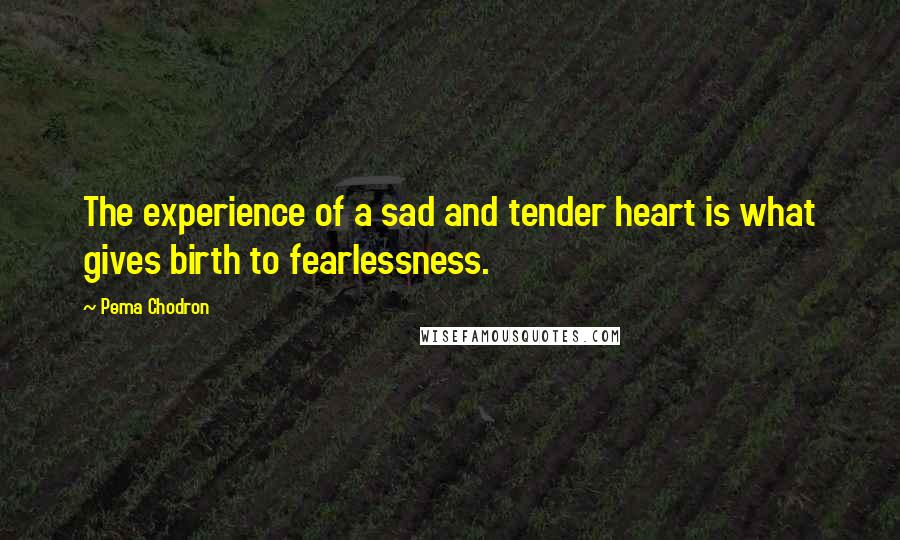 Pema Chodron Quotes: The experience of a sad and tender heart is what gives birth to fearlessness.