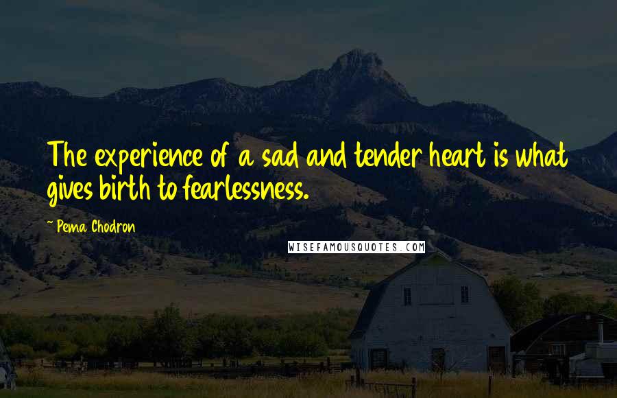 Pema Chodron Quotes: The experience of a sad and tender heart is what gives birth to fearlessness.