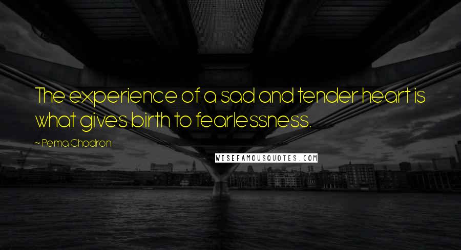 Pema Chodron Quotes: The experience of a sad and tender heart is what gives birth to fearlessness.