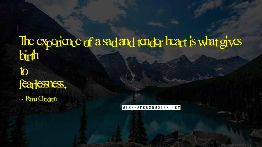 Pema Chodron Quotes: The experience of a sad and tender heart is what gives birth to fearlessness.