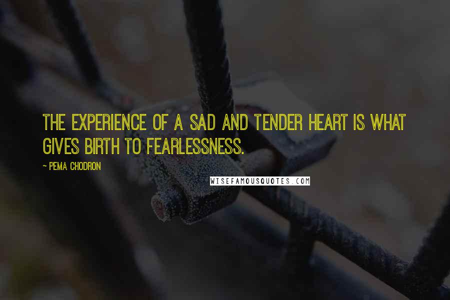 Pema Chodron Quotes: The experience of a sad and tender heart is what gives birth to fearlessness.