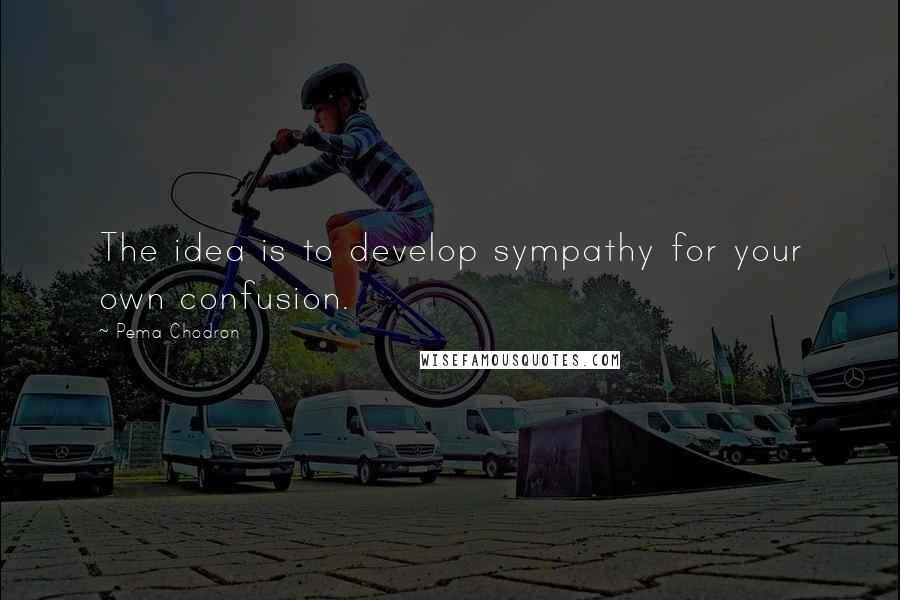 Pema Chodron Quotes: The idea is to develop sympathy for your own confusion.