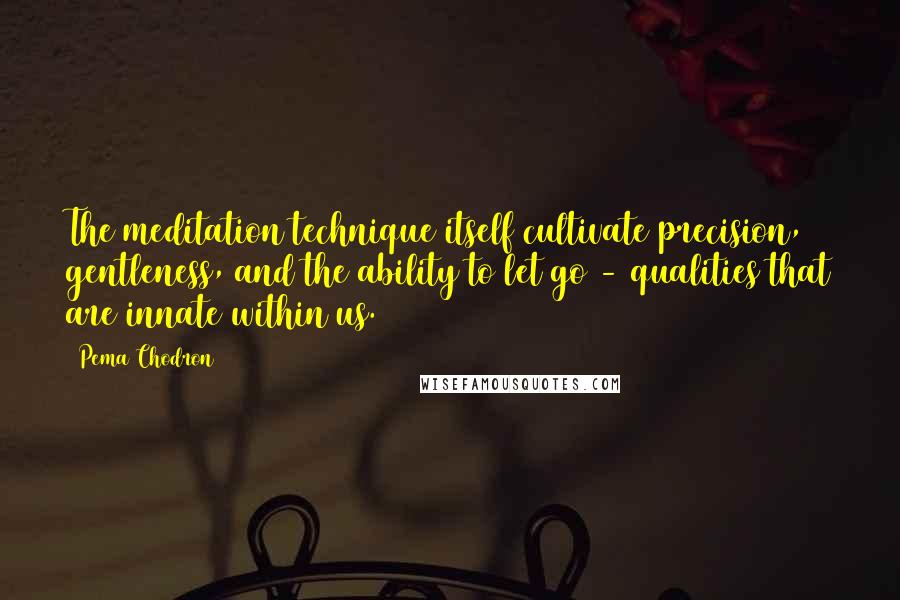 Pema Chodron Quotes: The meditation technique itself cultivate precision, gentleness, and the ability to let go - qualities that are innate within us.