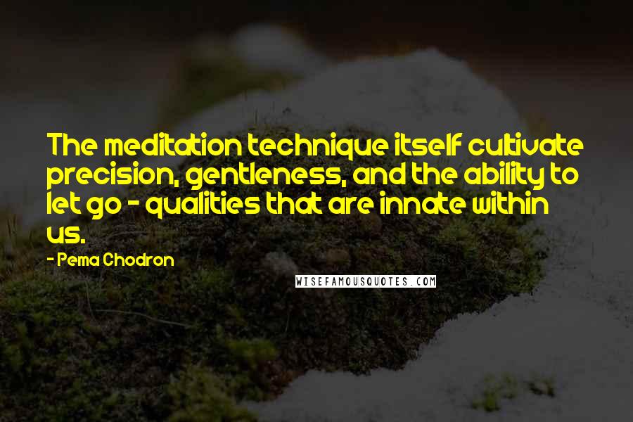 Pema Chodron Quotes: The meditation technique itself cultivate precision, gentleness, and the ability to let go - qualities that are innate within us.