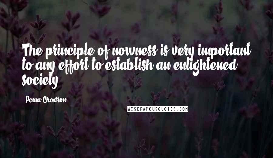 Pema Chodron Quotes: The principle of nowness is very important to any effort to establish an enlightened society.