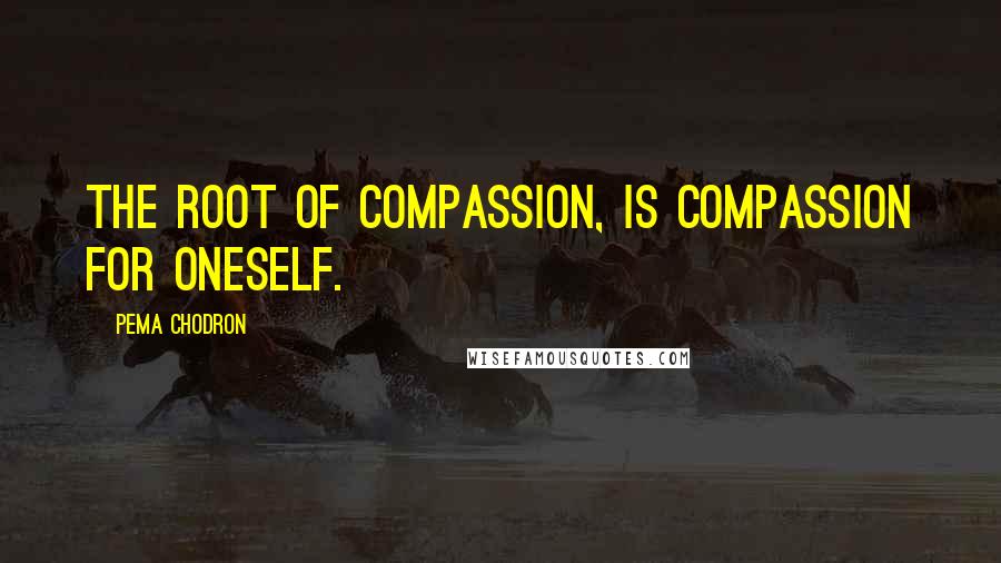 Pema Chodron Quotes: The root of compassion, is compassion for oneself.