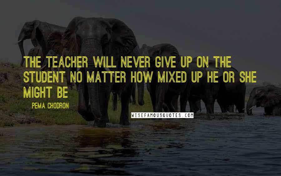 Pema Chodron Quotes: The teacher will never give up on the student no matter how mixed up he or she might be