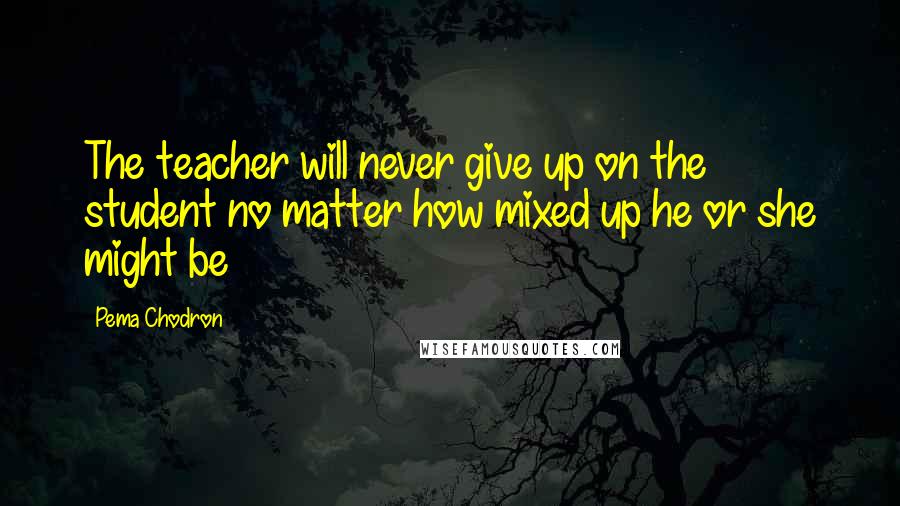 Pema Chodron Quotes: The teacher will never give up on the student no matter how mixed up he or she might be