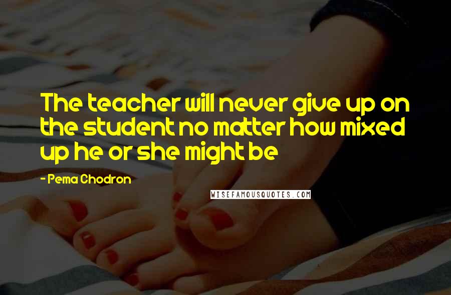 Pema Chodron Quotes: The teacher will never give up on the student no matter how mixed up he or she might be