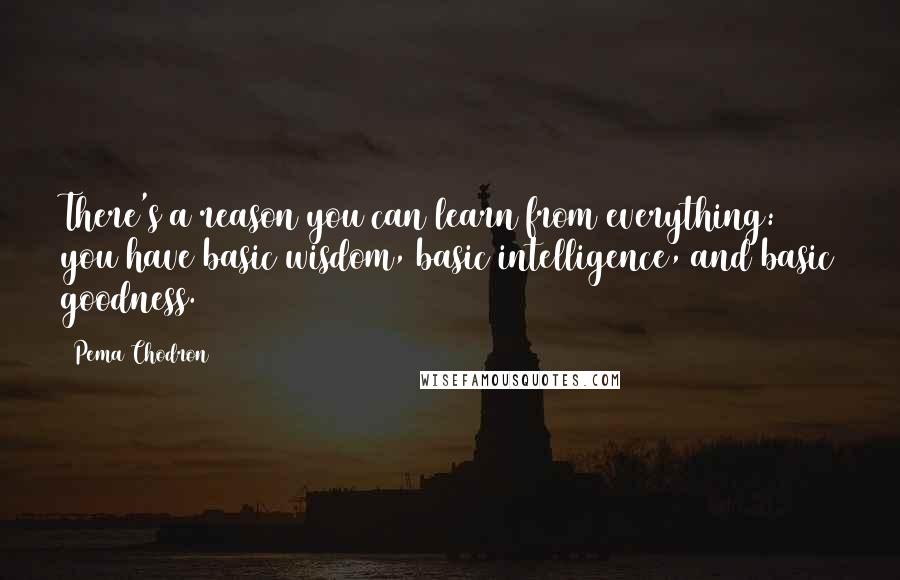 Pema Chodron Quotes: There's a reason you can learn from everything: you have basic wisdom, basic intelligence, and basic goodness.