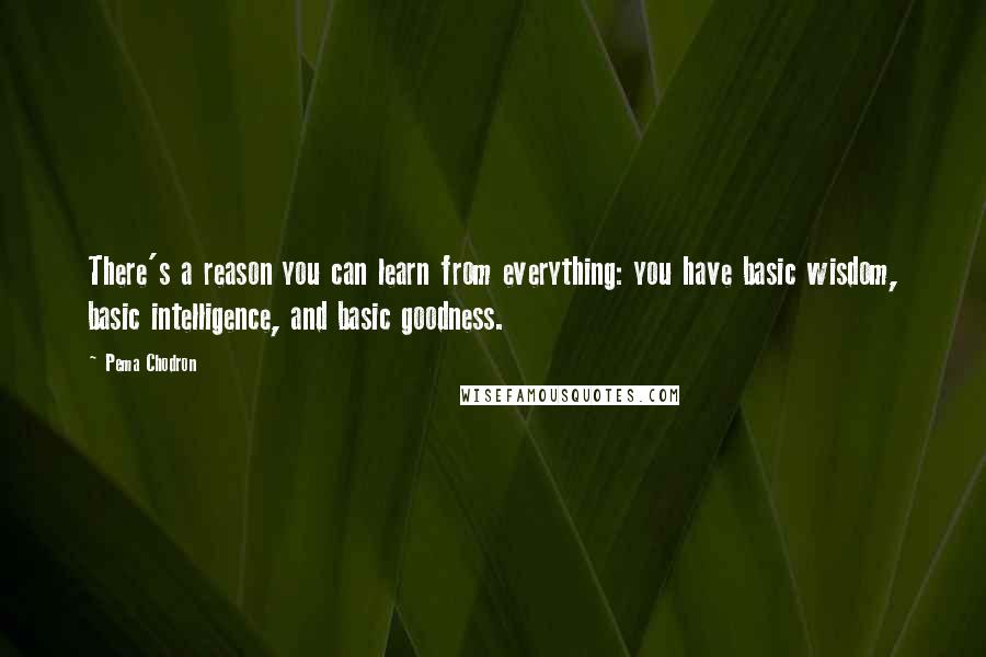 Pema Chodron Quotes: There's a reason you can learn from everything: you have basic wisdom, basic intelligence, and basic goodness.