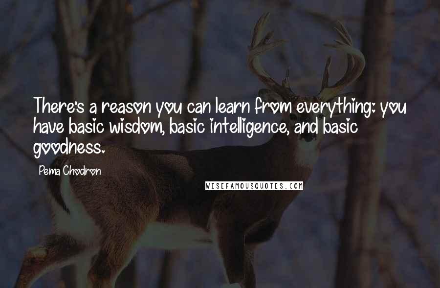 Pema Chodron Quotes: There's a reason you can learn from everything: you have basic wisdom, basic intelligence, and basic goodness.
