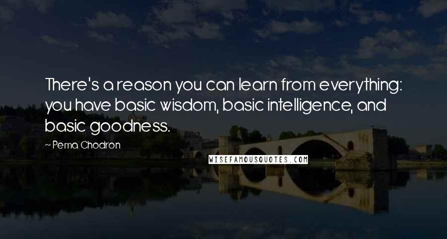 Pema Chodron Quotes: There's a reason you can learn from everything: you have basic wisdom, basic intelligence, and basic goodness.