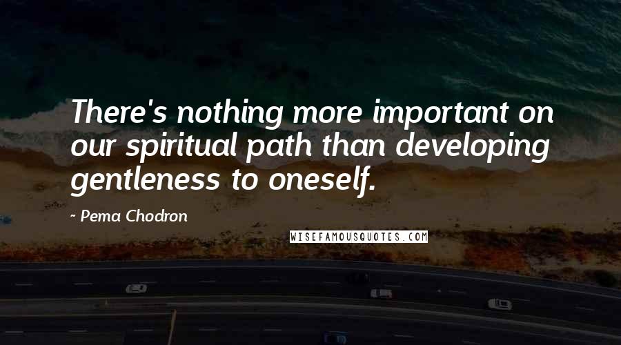 Pema Chodron Quotes: There's nothing more important on our spiritual path than developing gentleness to oneself.