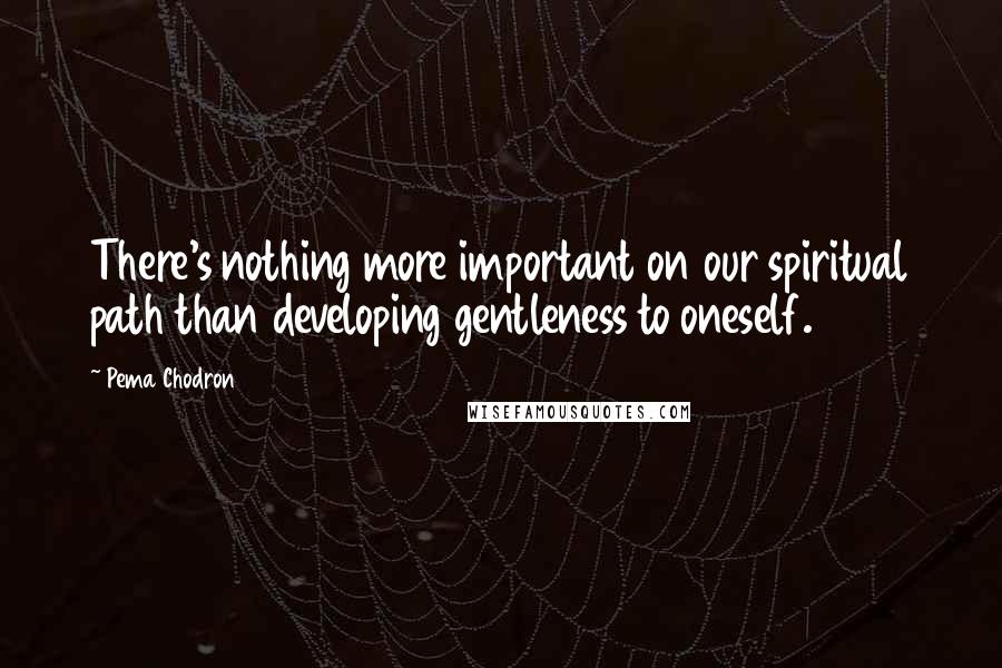 Pema Chodron Quotes: There's nothing more important on our spiritual path than developing gentleness to oneself.