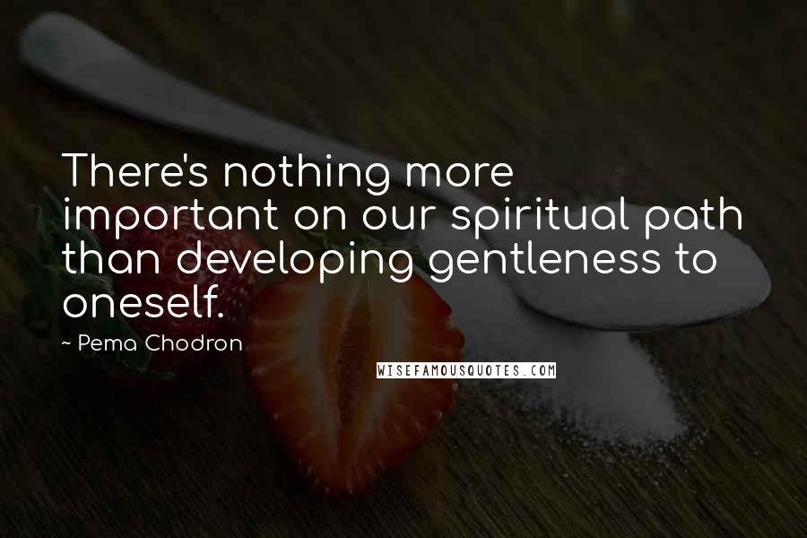 Pema Chodron Quotes: There's nothing more important on our spiritual path than developing gentleness to oneself.