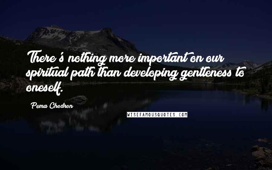 Pema Chodron Quotes: There's nothing more important on our spiritual path than developing gentleness to oneself.