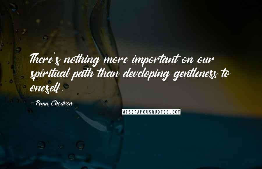 Pema Chodron Quotes: There's nothing more important on our spiritual path than developing gentleness to oneself.