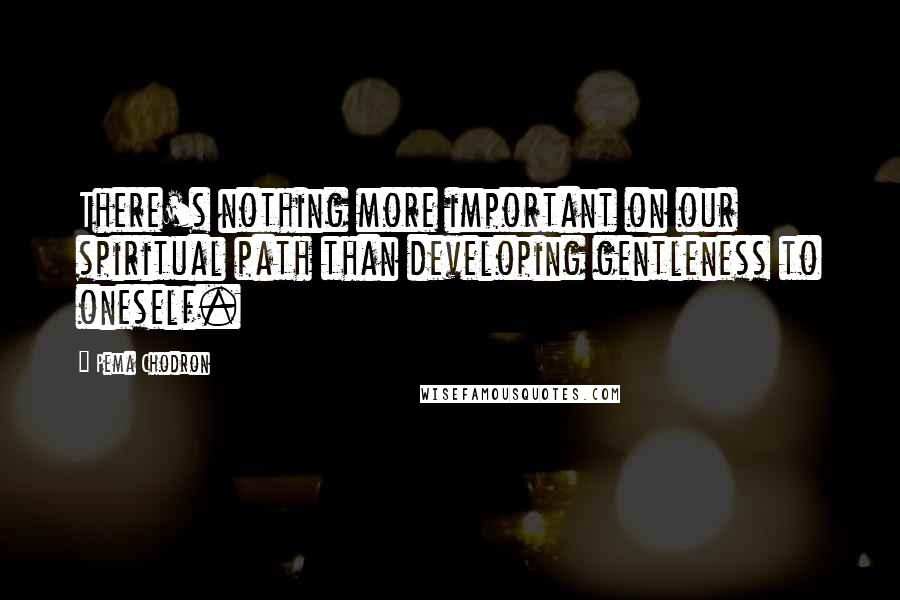 Pema Chodron Quotes: There's nothing more important on our spiritual path than developing gentleness to oneself.