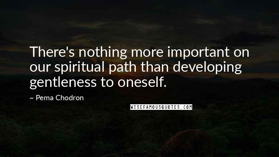 Pema Chodron Quotes: There's nothing more important on our spiritual path than developing gentleness to oneself.