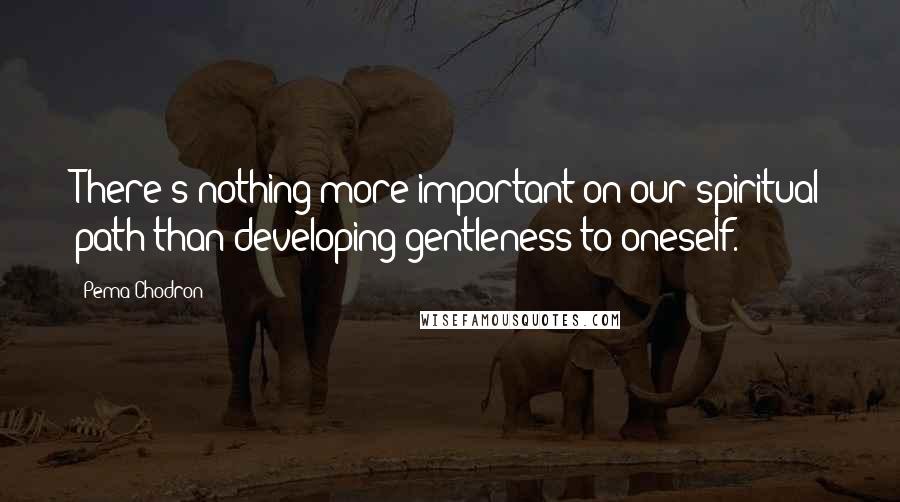 Pema Chodron Quotes: There's nothing more important on our spiritual path than developing gentleness to oneself.