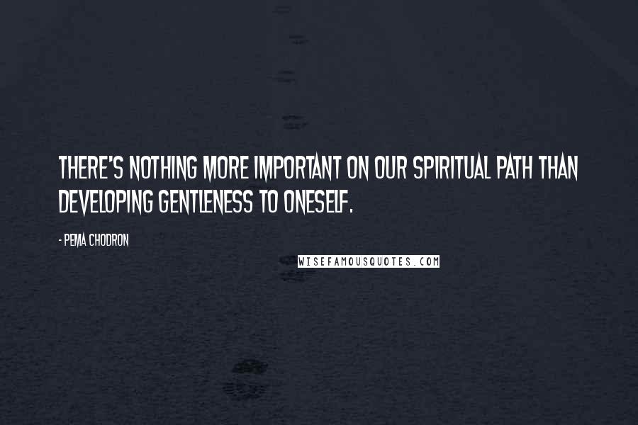 Pema Chodron Quotes: There's nothing more important on our spiritual path than developing gentleness to oneself.