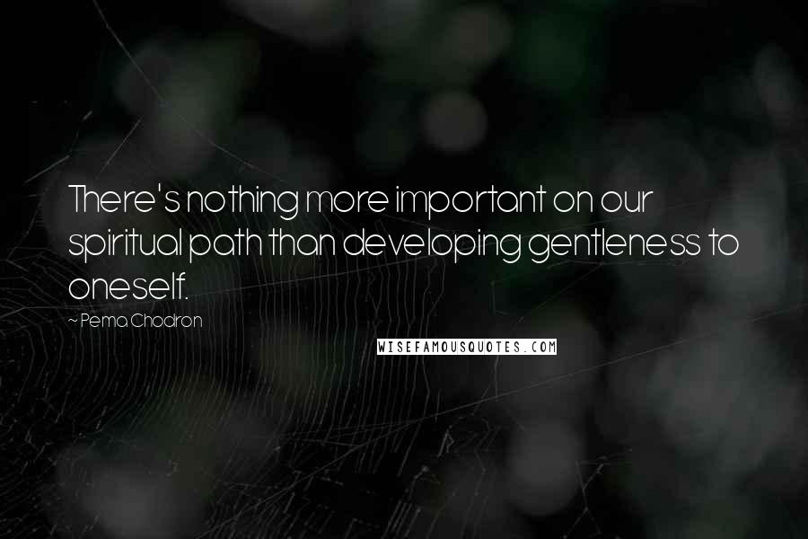 Pema Chodron Quotes: There's nothing more important on our spiritual path than developing gentleness to oneself.