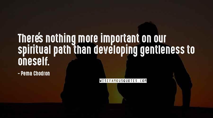 Pema Chodron Quotes: There's nothing more important on our spiritual path than developing gentleness to oneself.