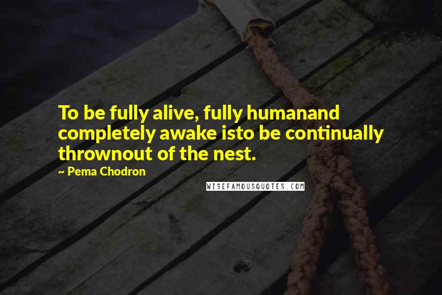 Pema Chodron Quotes: To be fully alive, fully humanand completely awake isto be continually thrownout of the nest.