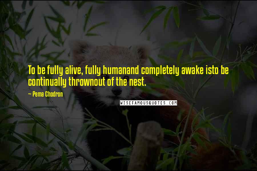 Pema Chodron Quotes: To be fully alive, fully humanand completely awake isto be continually thrownout of the nest.