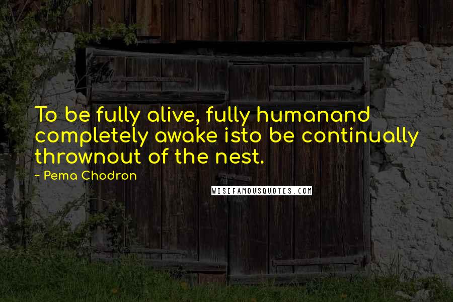 Pema Chodron Quotes: To be fully alive, fully humanand completely awake isto be continually thrownout of the nest.