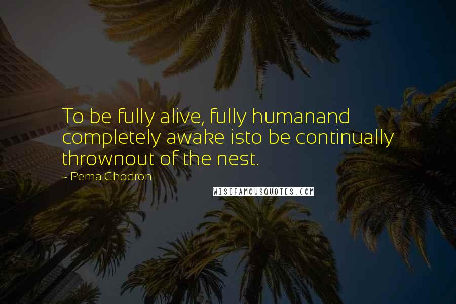 Pema Chodron Quotes: To be fully alive, fully humanand completely awake isto be continually thrownout of the nest.