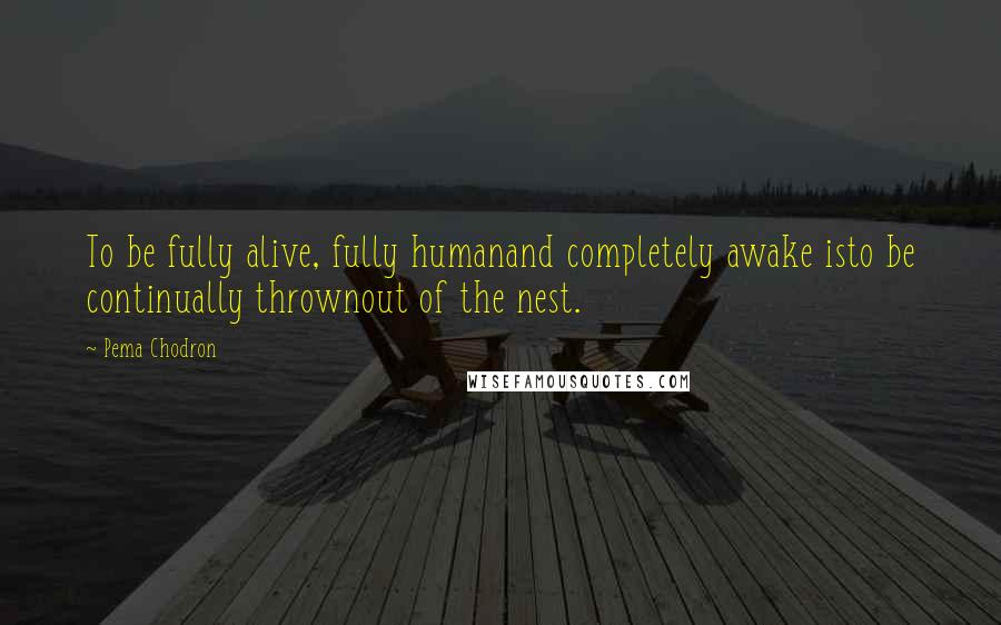 Pema Chodron Quotes: To be fully alive, fully humanand completely awake isto be continually thrownout of the nest.