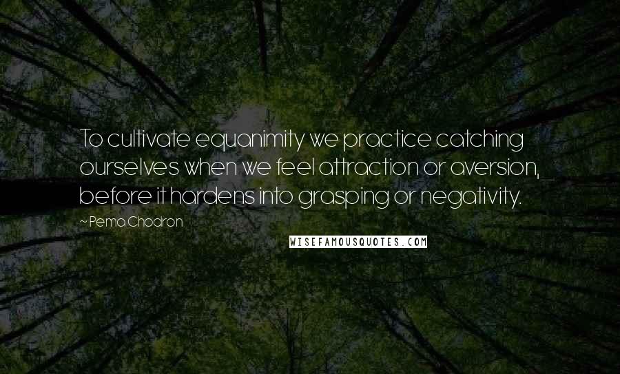 Pema Chodron Quotes: To cultivate equanimity we practice catching ourselves when we feel attraction or aversion, before it hardens into grasping or negativity.