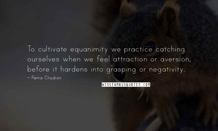 Pema Chodron Quotes: To cultivate equanimity we practice catching ourselves when we feel attraction or aversion, before it hardens into grasping or negativity.