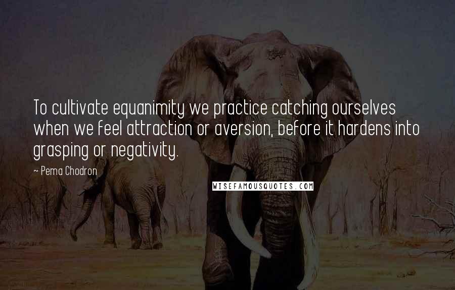 Pema Chodron Quotes: To cultivate equanimity we practice catching ourselves when we feel attraction or aversion, before it hardens into grasping or negativity.