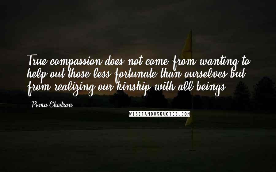 Pema Chodron Quotes: True compassion does not come from wanting to help out those less fortunate than ourselves but from realizing our kinship with all beings.