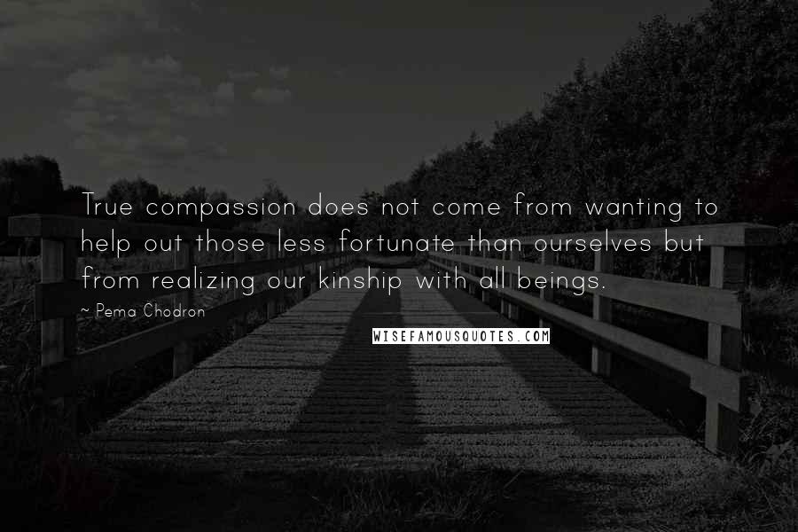 Pema Chodron Quotes: True compassion does not come from wanting to help out those less fortunate than ourselves but from realizing our kinship with all beings.