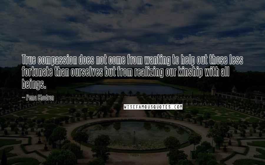 Pema Chodron Quotes: True compassion does not come from wanting to help out those less fortunate than ourselves but from realizing our kinship with all beings.