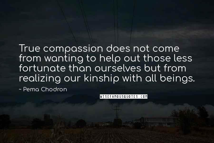 Pema Chodron Quotes: True compassion does not come from wanting to help out those less fortunate than ourselves but from realizing our kinship with all beings.